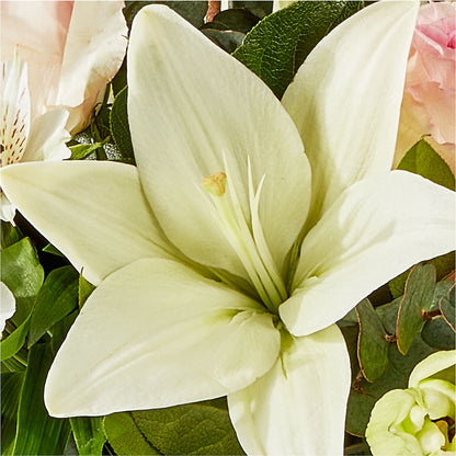 Ballet Slippers Bouquet –  Heliconia Flowers Of Colombia, Cuddebackville NY