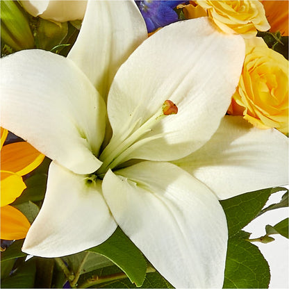 Wonderfully Sunny Bouquet –  Heliconia Flowers Of Colombia, Cuddebackville NY