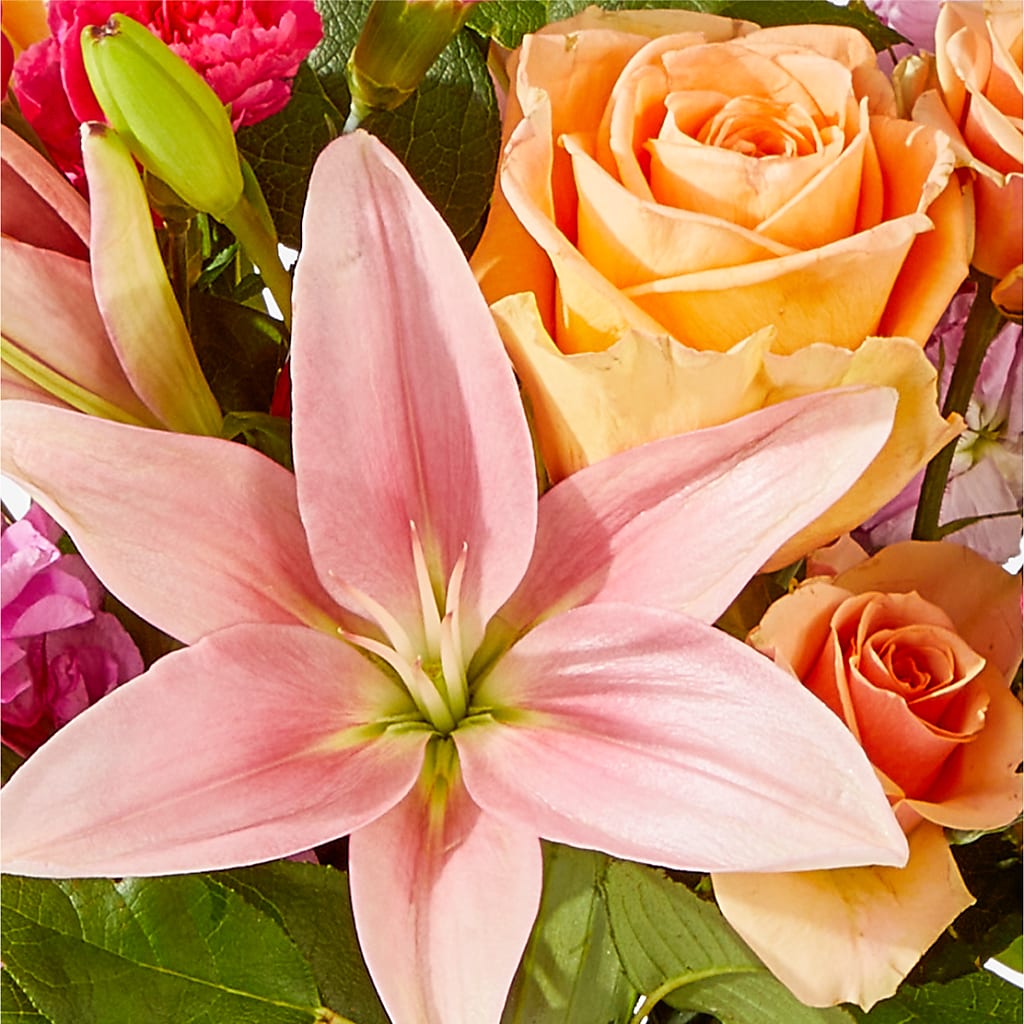 Bisous Bouquet –  Heliconia Flowers Of Colombia, Cuddebackville NY