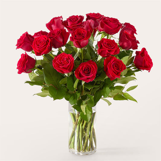 The One Red Rose Bouquet –  Heliconia Flowers Of Colombia, Cuddebackville NY
