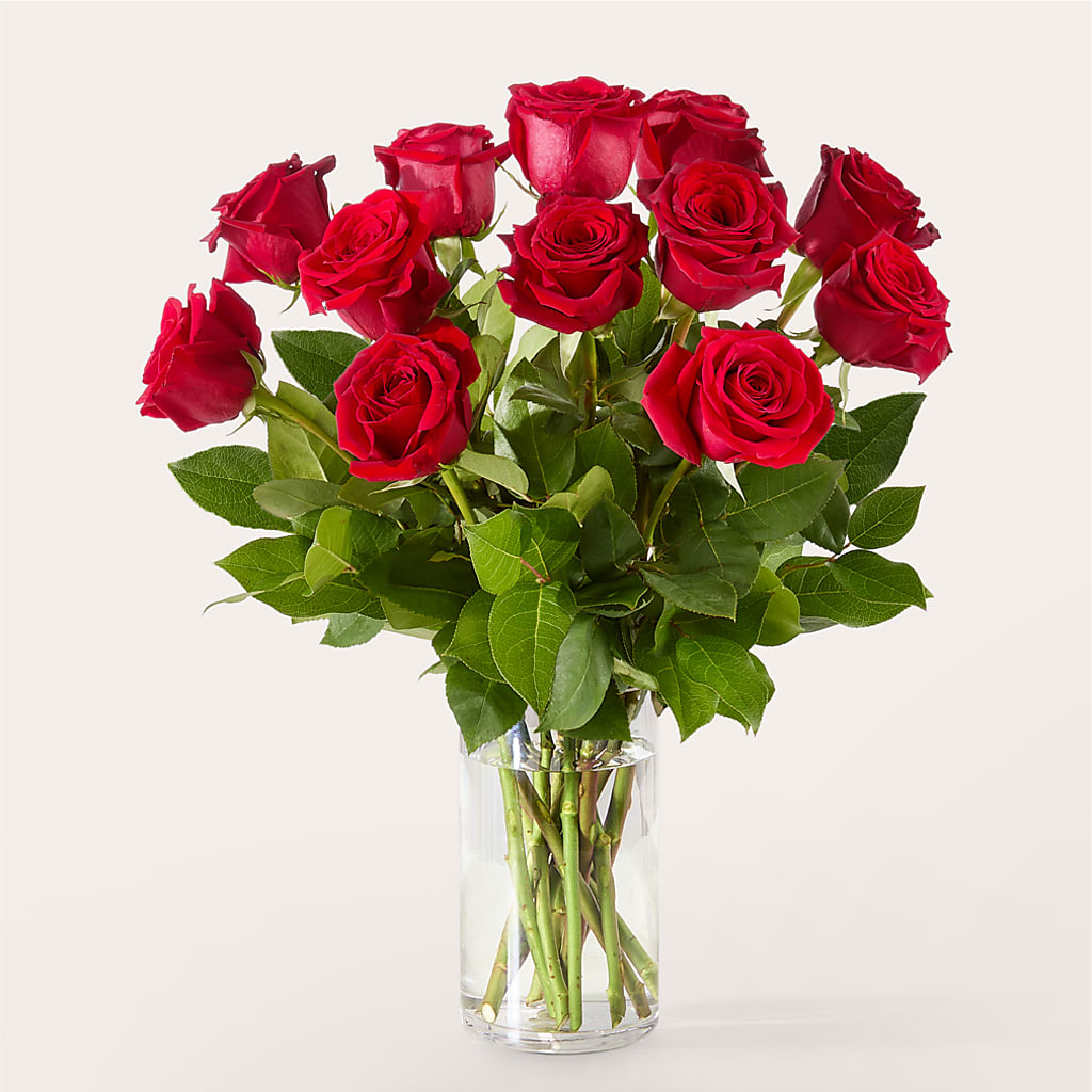 The One Red Rose Bouquet –  Heliconia Flowers Of Colombia, Cuddebackville NY