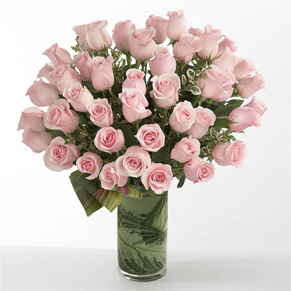 Pink Essence –  Heliconia Flowers Of Colombia, Cuddebackville NY