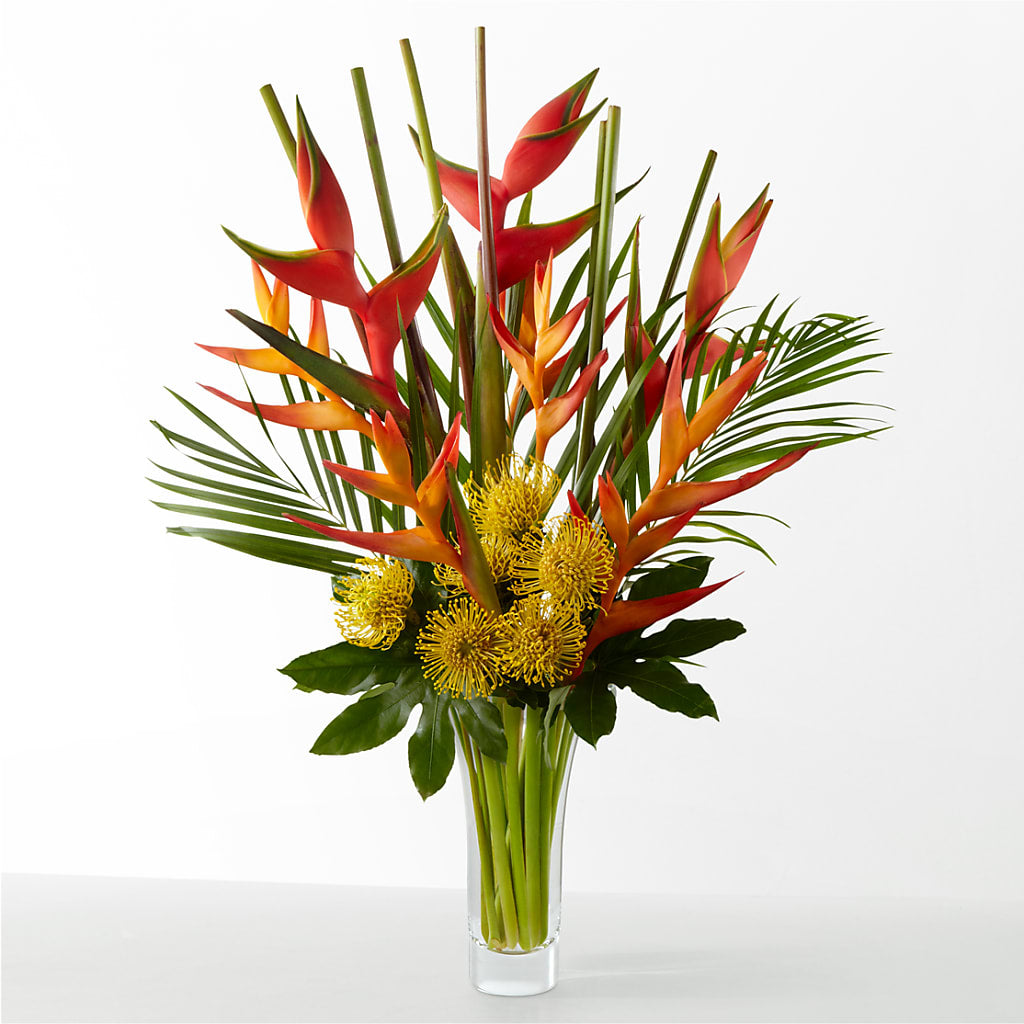 The Drama –  Heliconia Flowers Of Colombia, Cuddebackville NY