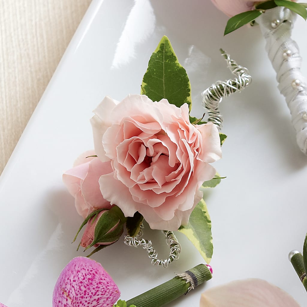 Pink Spray Rose Boutonniere –  Heliconia Flowers Of Colombia, Cuddebackville NY