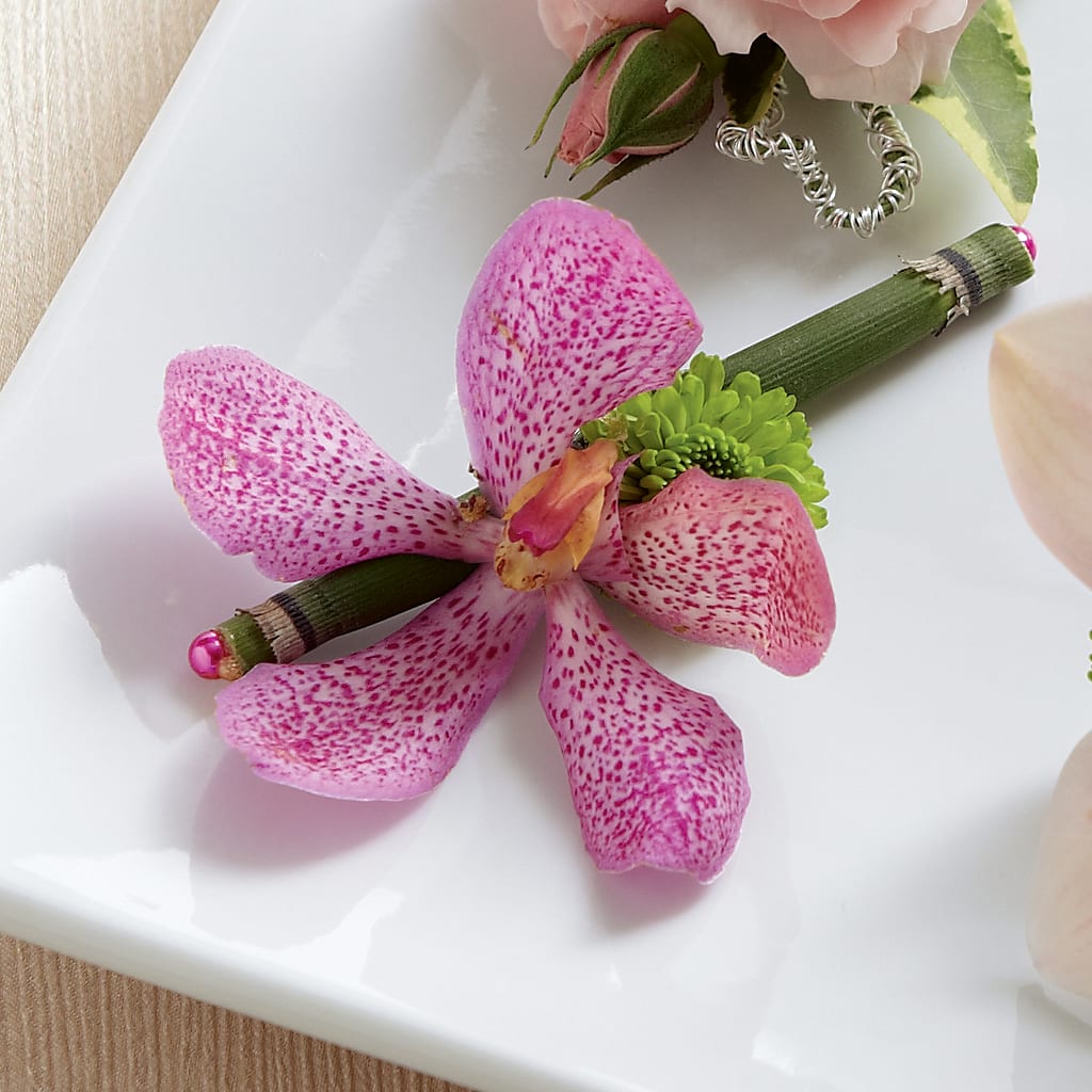 Pink Mokara Boutonniere –  Heliconia Flowers Of Colombia, Cuddebackville NY