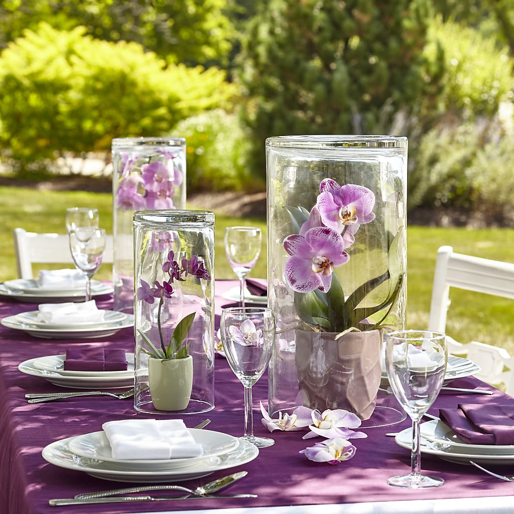 Dramatic Garden Centerpiece –  Heliconia Flowers Of Colombia, Cuddebackville NY