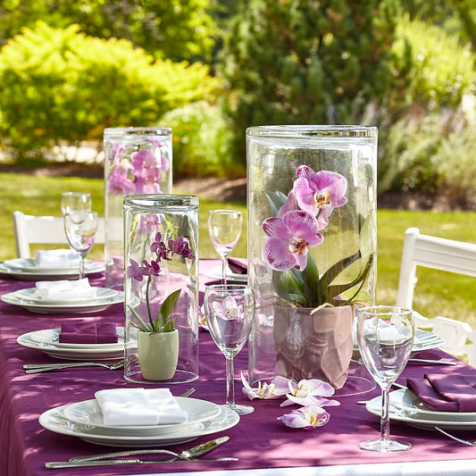 Dramatic Garden Centerpiece –  Heliconia Flowers Of Colombia, Cuddebackville NY