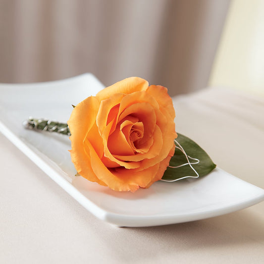 Lifetime of Love Boutonniere –  Heliconia Flowers Of Colombia, Cuddebackville NY