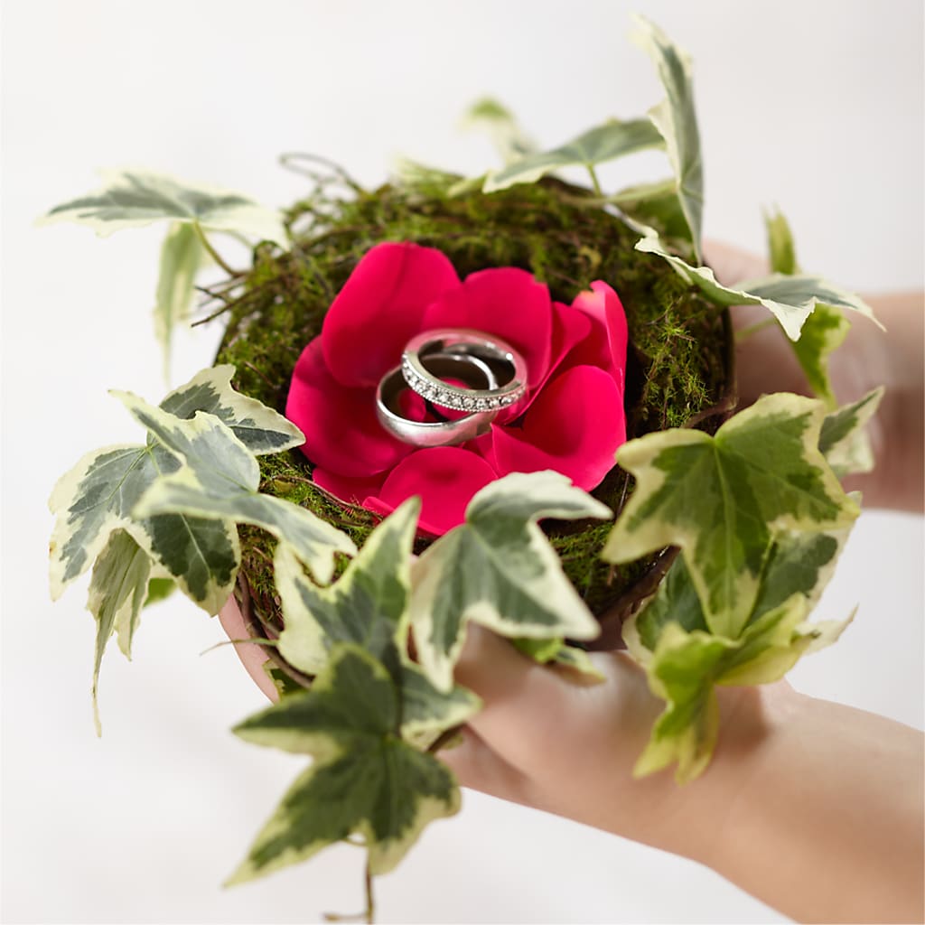 Lila Rose Ring Nest –  Heliconia Flowers Of Colombia, Cuddebackville NY