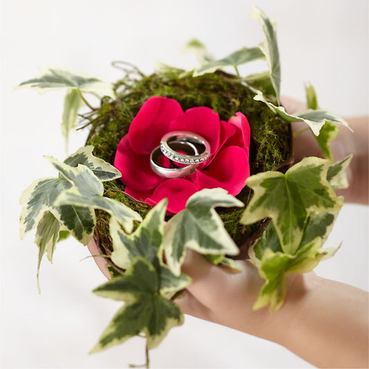 Lila Rose Ring Nest –  Heliconia Flowers Of Colombia, Cuddebackville NY