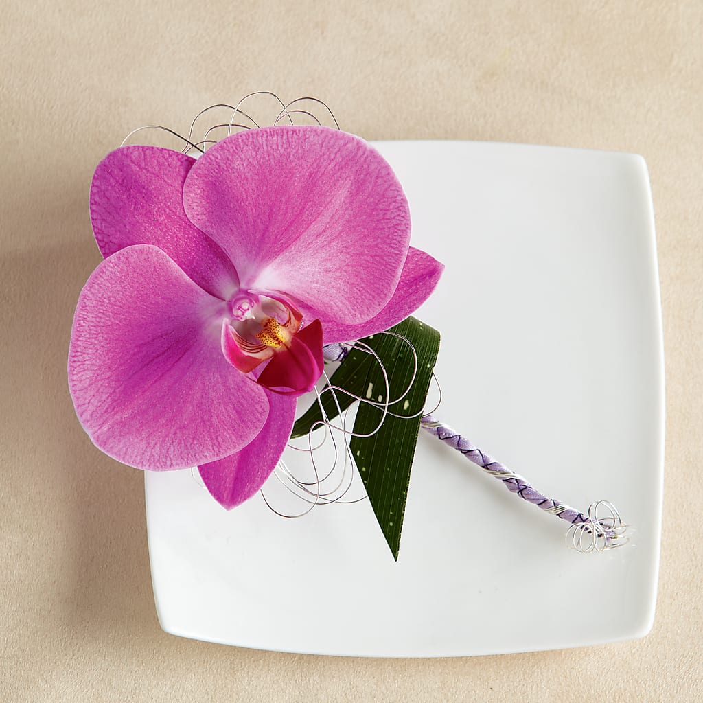 Glorious Boutonniere –  Heliconia Flowers Of Colombia, Cuddebackville NY