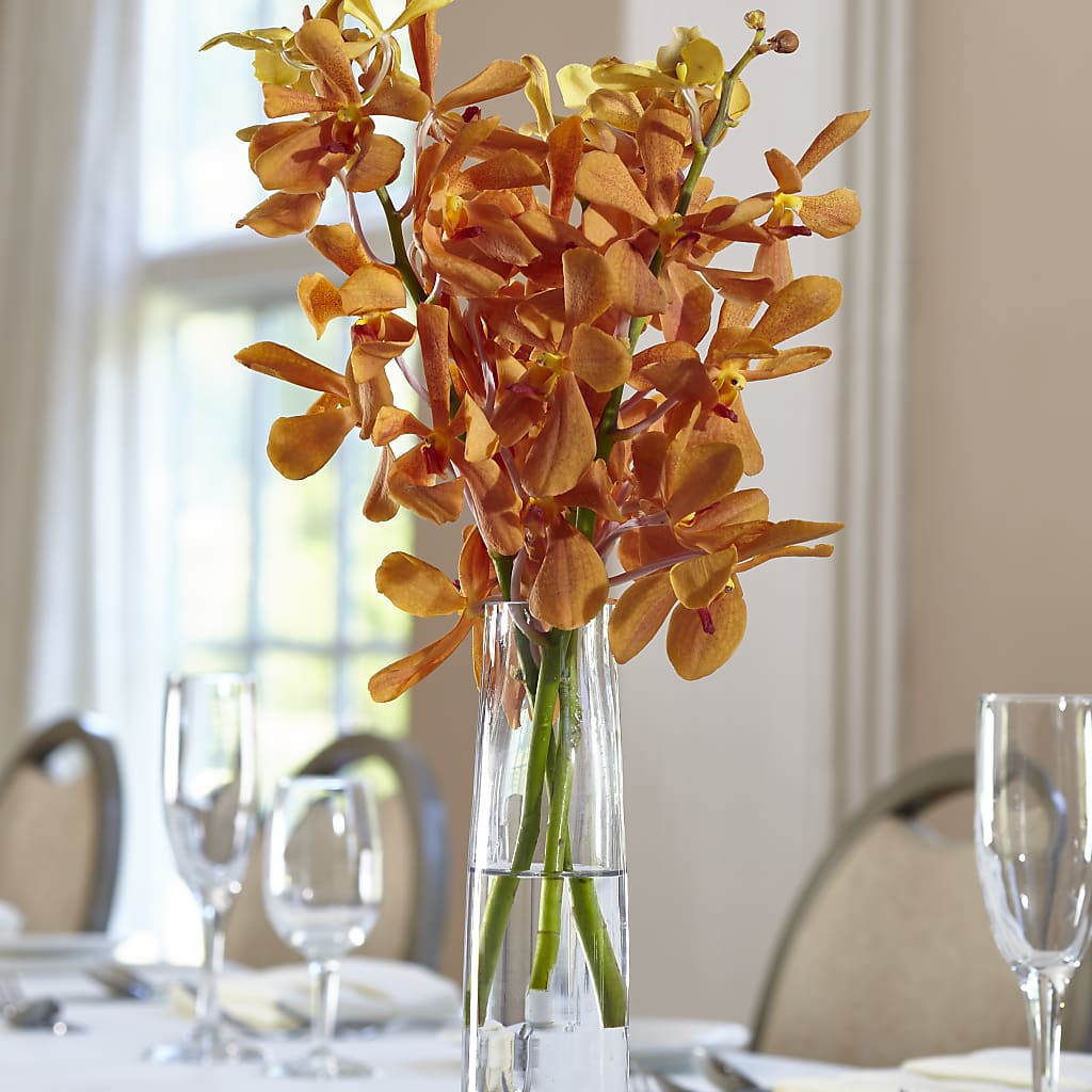 Orange Mokara Bud Vase –  Heliconia Flowers Of Colombia, Cuddebackville NY
