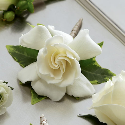 Gardenia Boutonniere –  Heliconia Flowers Of Colombia, Cuddebackville NY