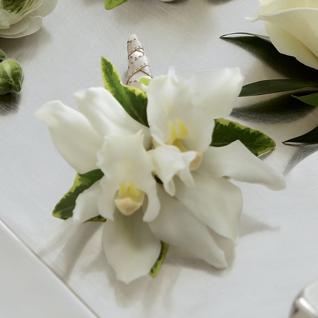 White Mini Cymbidium Boutonniere –  Heliconia Flowers Of Colombia, Cuddebackville NY