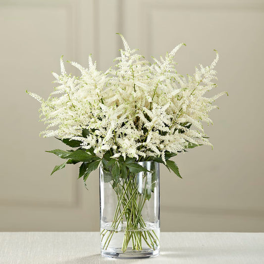 White Astilbe Bouquet –  Heliconia Flowers Of Colombia, Cuddebackville NY