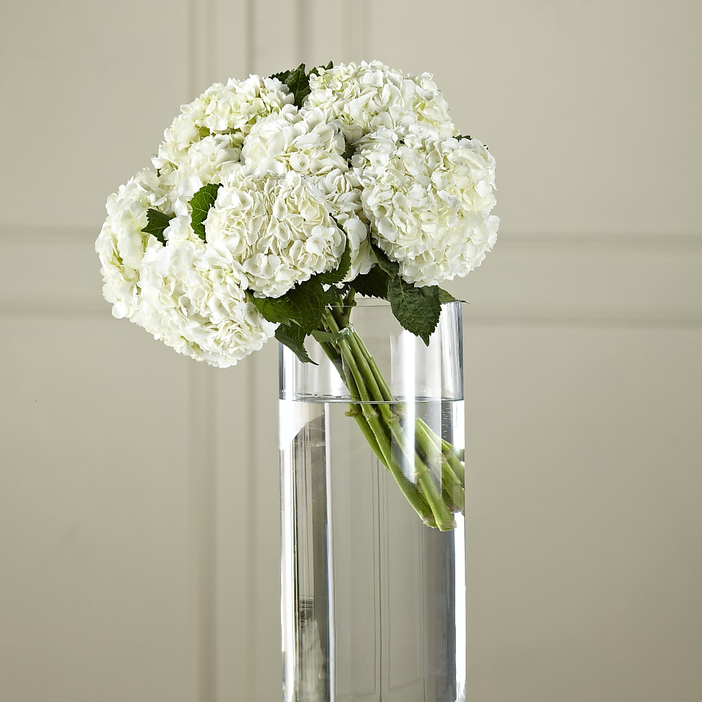 White Hydrangea Hand-Tied Bouquet –  Heliconia Flowers Of Colombia, Cuddebackville NY