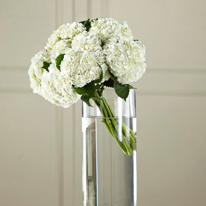 White Hydrangea Hand-Tied Bouquet –  Heliconia Flowers Of Colombia, Cuddebackville NY