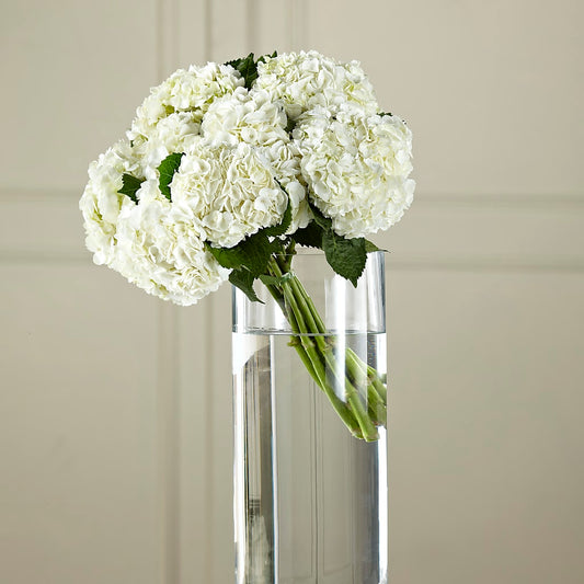 White Hydrangea Hand-Tied Bouquet –  Heliconia Flowers Of Colombia, Cuddebackville NY