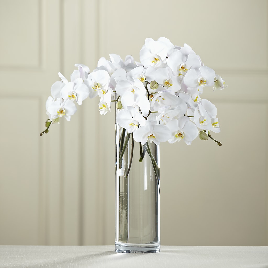 White Phalaenopsis Bouquet –  Heliconia Flowers Of Colombia, Cuddebackville NY