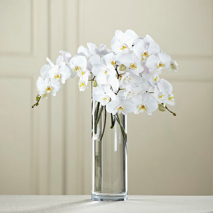 White Phalaenopsis Bouquet –  Heliconia Flowers Of Colombia, Cuddebackville NY