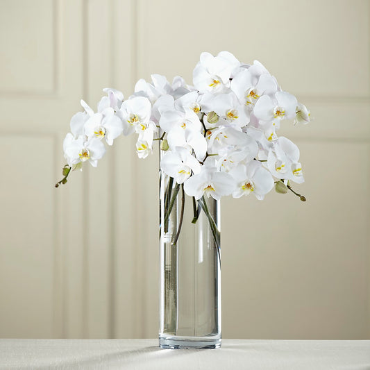 White Phalaenopsis Bouquet –  Heliconia Flowers Of Colombia, Cuddebackville NY