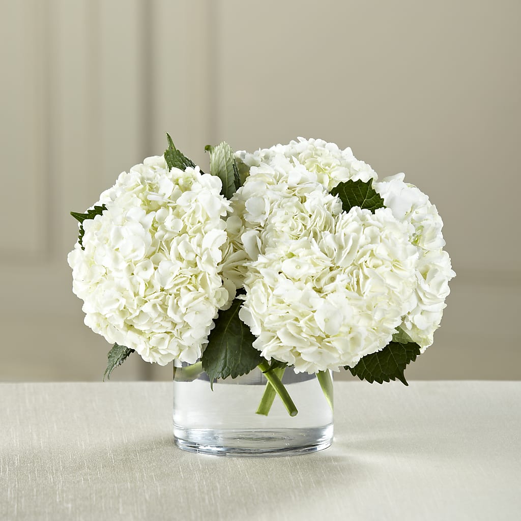 White Hydrangea Bouquet –  Heliconia Flowers Of Colombia, Cuddebackville NY