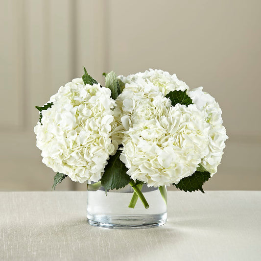 White Hydrangea Bouquet –  Heliconia Flowers Of Colombia, Cuddebackville NY